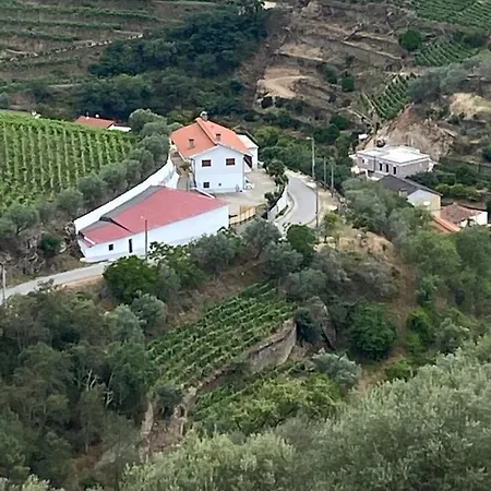 Casa Da Amendoeira Covelinhas Vendégház