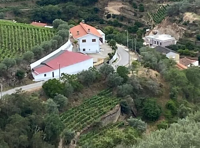 Casa Da Amendoeira Covelinhas Gasthof