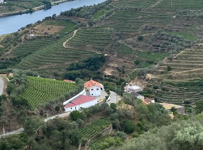 Guest house Casa Da Amendoeira Covelinhas 4*